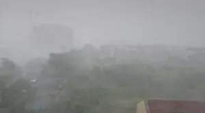 Furtună puternică în București: copaci doborâți și străzi inundate – foto 4