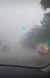 Furtună puternică în București: copaci doborâți și străzi inundate – foto 2