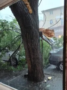 Furtună puternică în București: copaci doborâți și străzi inundate – foto 5