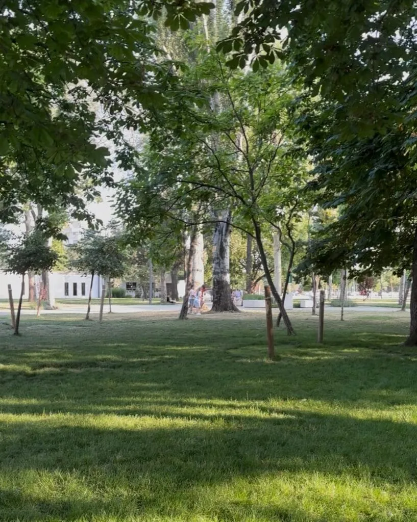 Avem băncuțe, avem verdeață, avem fântână arteziană, dar apă nu-i… Parcul de la Gară – sau cum ne dă iar cu virgulă în toiul verii (FOTO) – foto 9