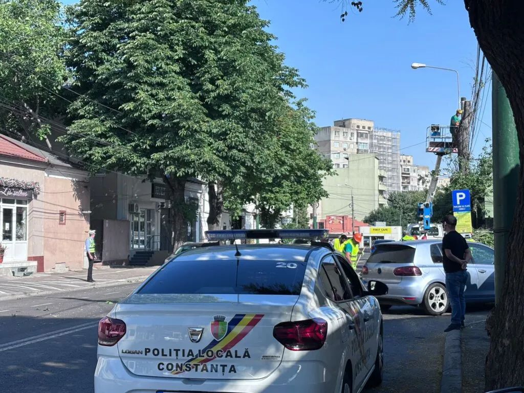 Copaci, aveți grijă! Primăria Constanța a găsit drujba – foto 2