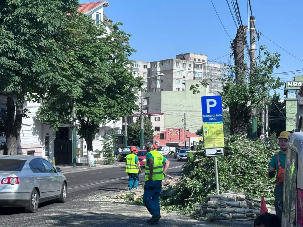 Copaci, aveți grijă! Primăria Constanța a găsit drujba – foto 3