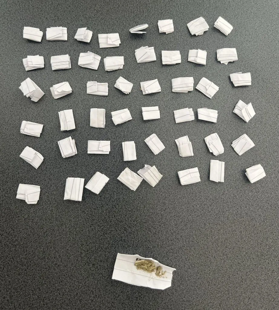 Substanțe interzise și țigări de contrabandă, descoperite de polițiștii locali în Constanța – foto 4