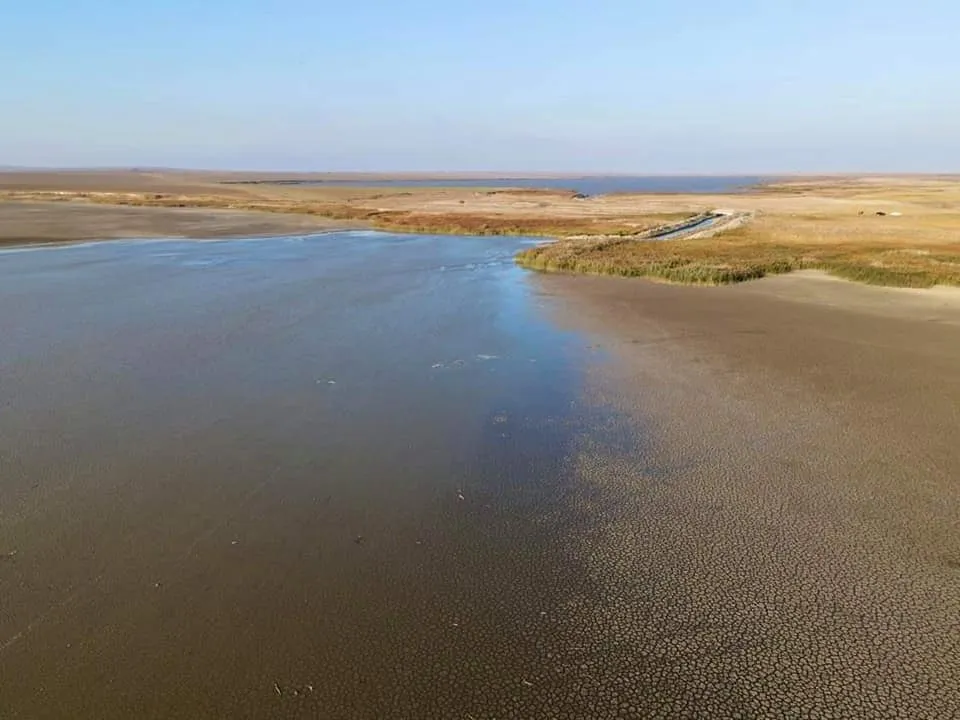 Deșert de… Constanța. Lacul Nuntași a secat FOTO) – foto 5