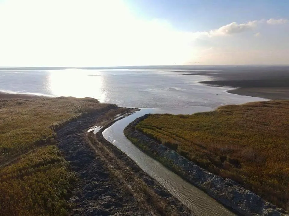 Deșert de… Constanța. Lacul Nuntași a secat FOTO) – foto 6