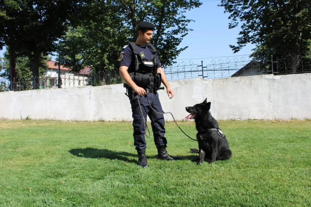 Loki Von Haus Matyas, noul camarad al Jandarmeriei Tulcea – foto 3