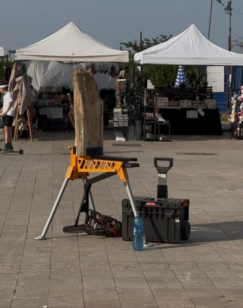 „Antique by the Sea” – un târg al produselor cu poveste, în Piața Ovidiu (FOTO) – foto 10