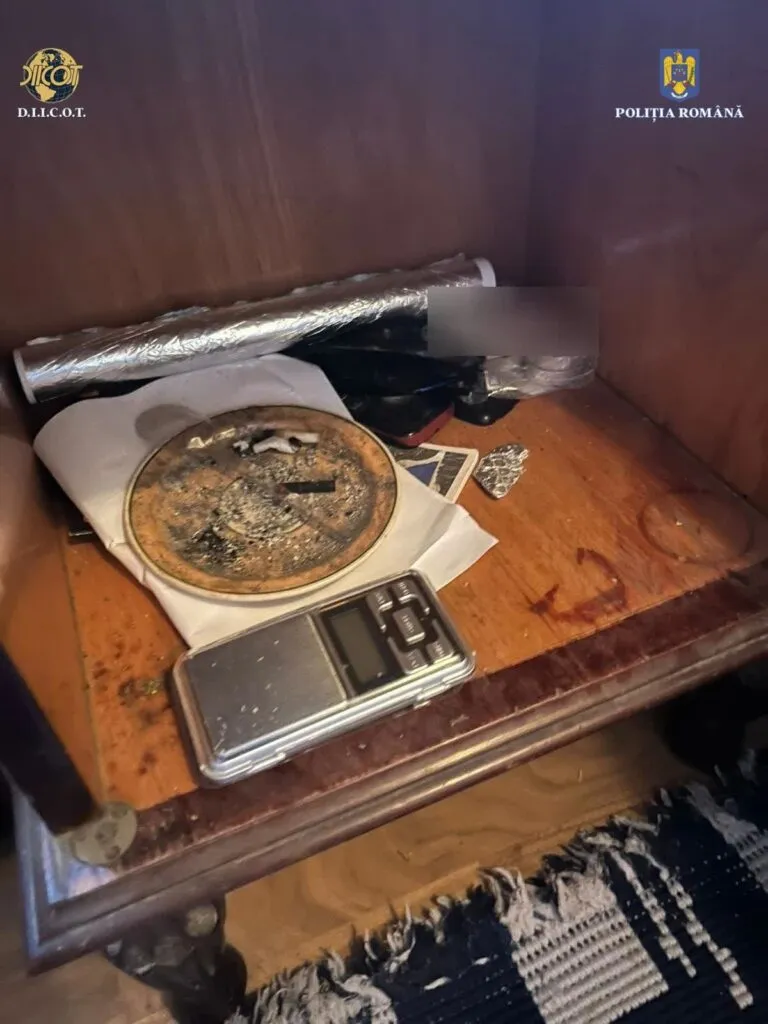 Cultură de canabis, de peste 60 de kilograme, descoperită în județul Tulcea (FOTO) – foto 3