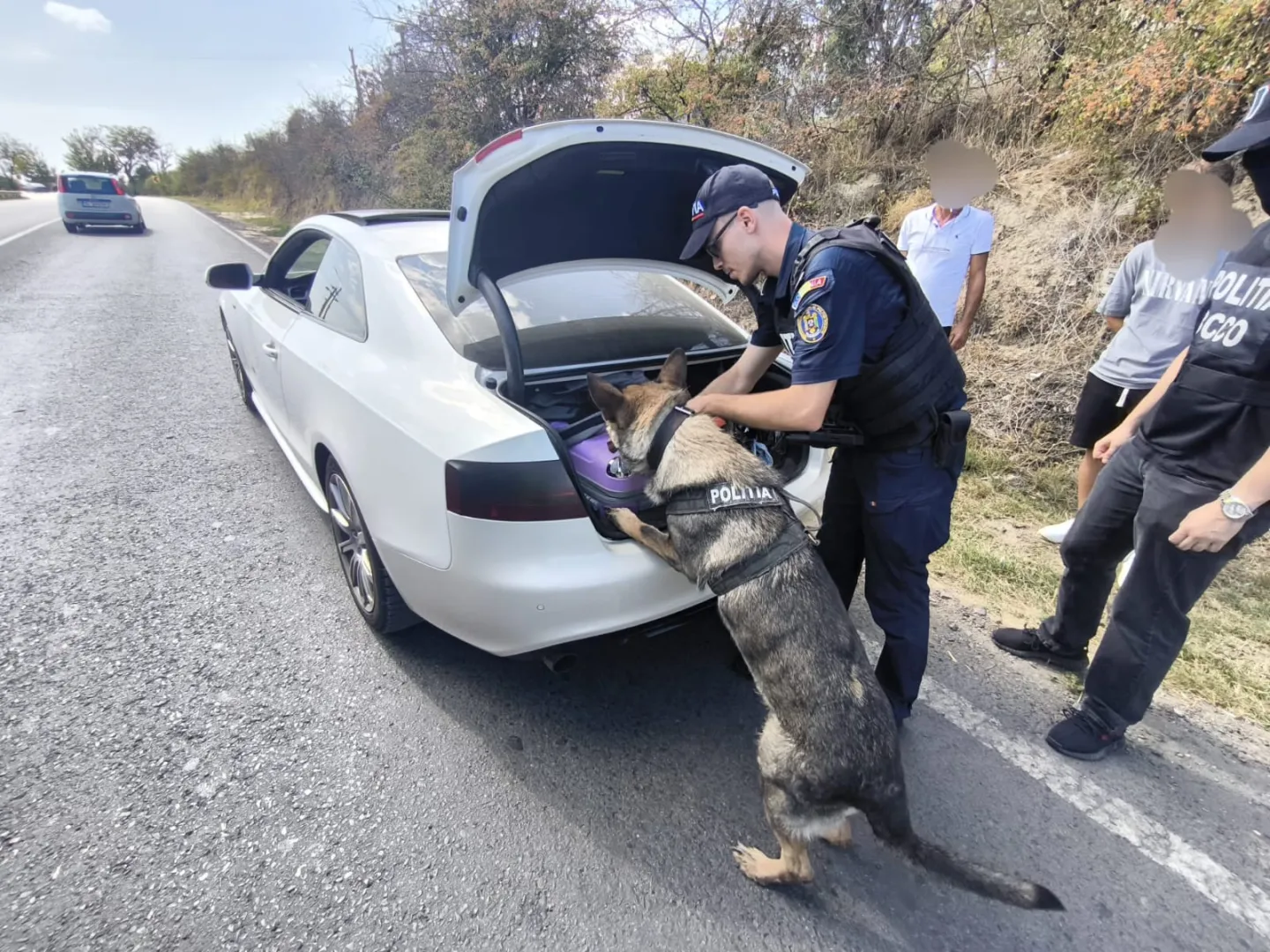 Șofer depistat în Tulcea sub influența substanțelor psihoactive