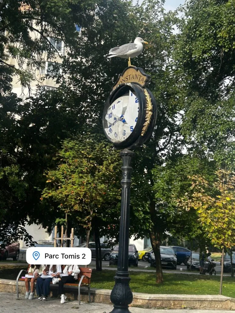 Constanța 2025. Școala în reabilitare, lecțiile sub cerul liber – foto 6