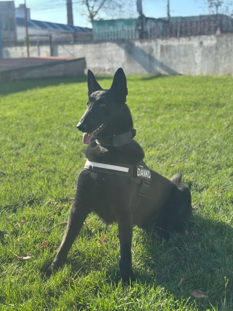 Danko, absolvent cu patalama, la IJJ Tulcea – foto 2