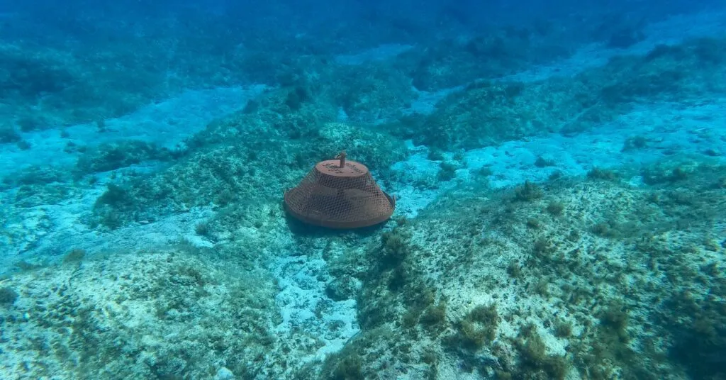 Scafandrii militari români, instruire în comun cu partenerii din Grecia (FOTO) – foto 3