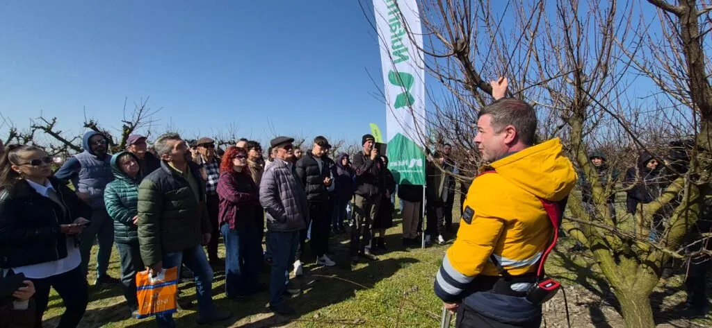 Cea mai mare livadă din Dobrogea este la Valu lui Traian. Și aproape nimeni nu vorbește despre ea – foto 2