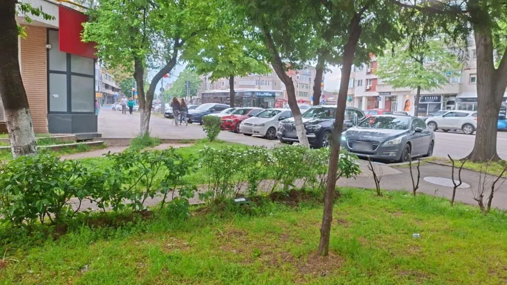 Acțiunile de deratizare continuă la Constanța până pe 20 mai – foto 2
