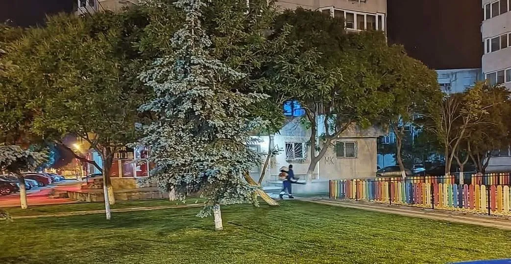 Acțiuni de dezinsecție la Năvodari