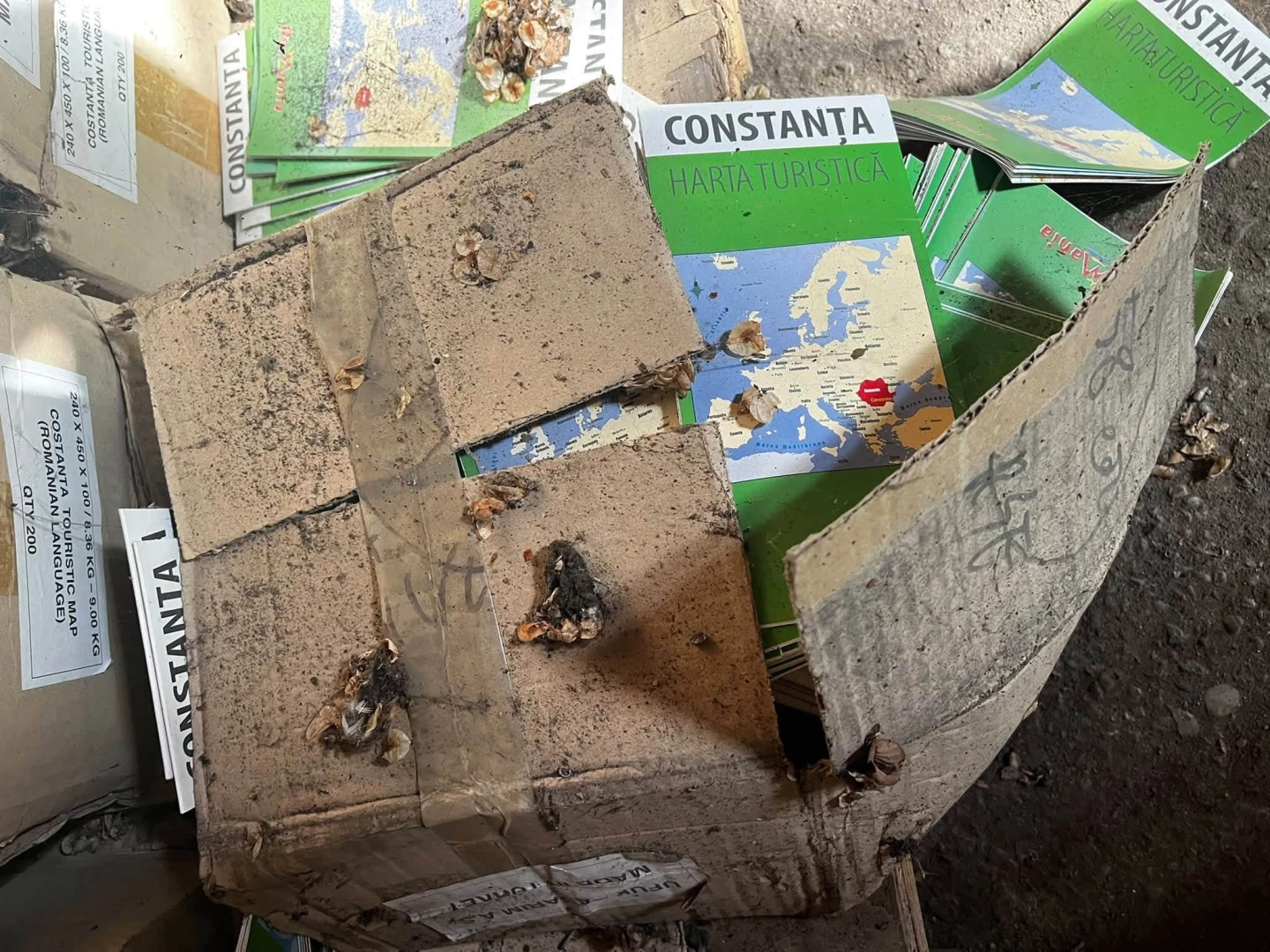 Așa se promovează România turistică! Milioane de lei îngropate în praf și pânze de păianjen