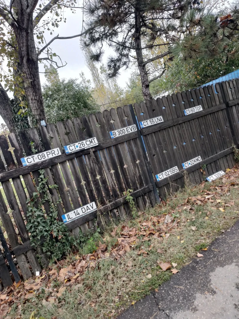 După ploaie, pe litoral răsar... plăcuțele de înmatriculare – foto 2