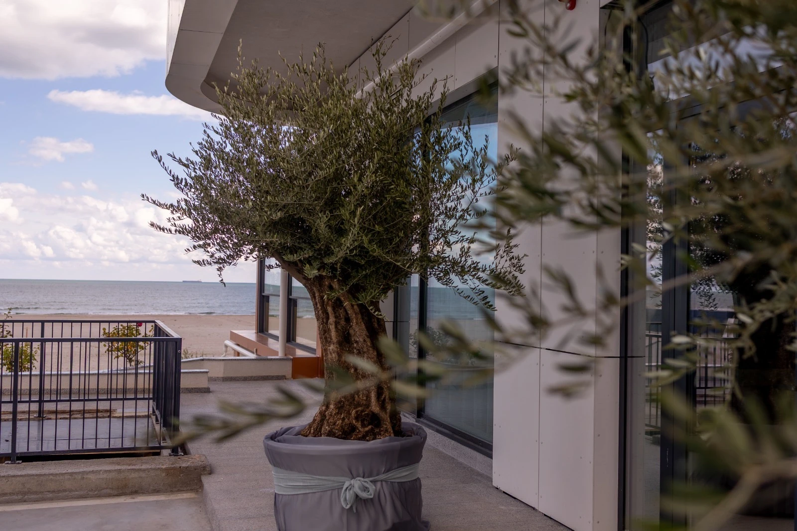 S-a deschis ADDRESS 44°, în Mamaia Nord, cel mai nou restaurant de la malul mării – foto 4